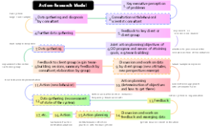 Action-Research Model