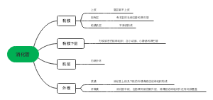 消化管﻿