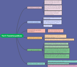 Text B  Translation problems