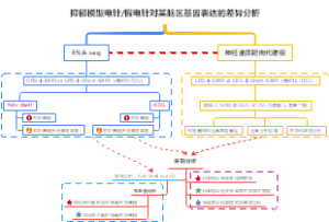 曙光中医电针技术路线图修改版