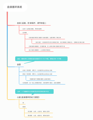 血液循环系统