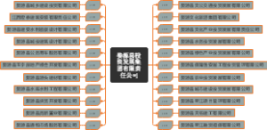 投资发展集团有限责任公司