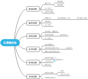 无脊椎动物