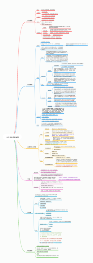 女性生殖系统解剖思维导图