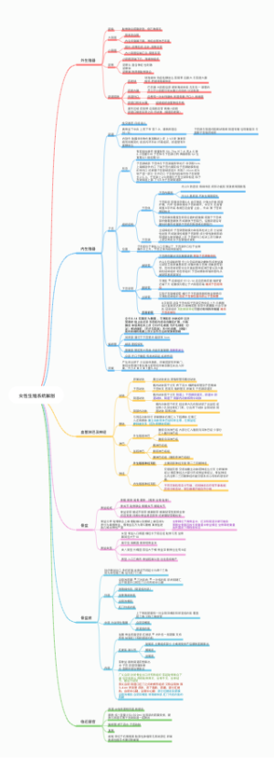 女性生殖系统解剖思维导图