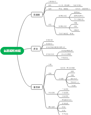 必需氨基酸思维导图图片