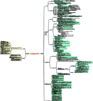 第二章 临床康复工程学基础
