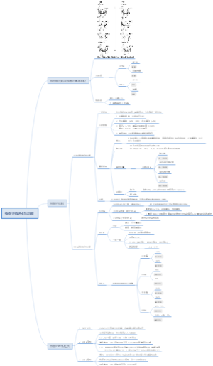 核酸的结构与功能