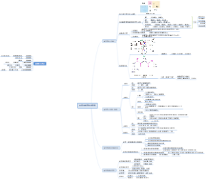 蛋白质的结构与功能