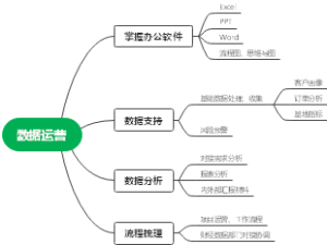 数据运营