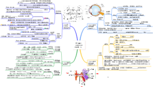 第五单元  人体的生理与健康（5）