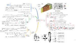 第4单元植物的生活2