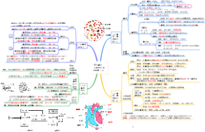 第五单元  人体的生理与健康（2）