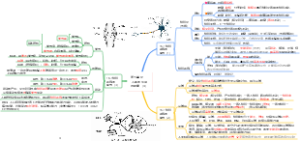 第五单元  人体的生理与健康（4）