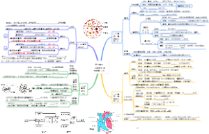 第五单元  人体的生理与健康（4）