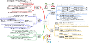 第五单元  人体的生理与健康（3）
