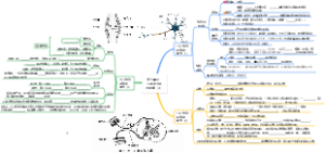 第五单元  人体的生理与健康（4）