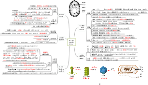 第二单元生物的多样性2
