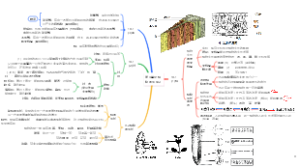 第4单元植物的生活2