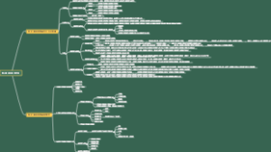 城乡规划原理 第十章 城市规划实施