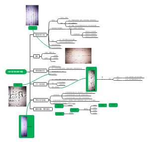 七年级下册数学导图