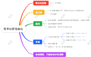 胃中化学性消化