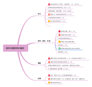 优纤训练营积分细化