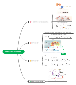 4.3细胞通过分解有机分子获取能量