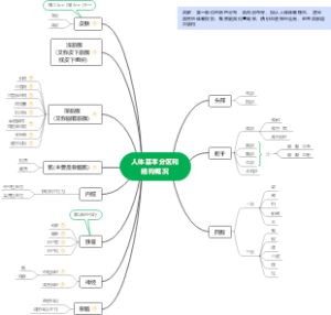 局解----绪论之人体基本分区和结构概况