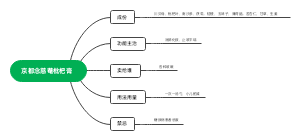 京都念慈菴枇杷膏