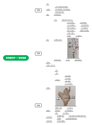 系统解剖学——前庭蜗器