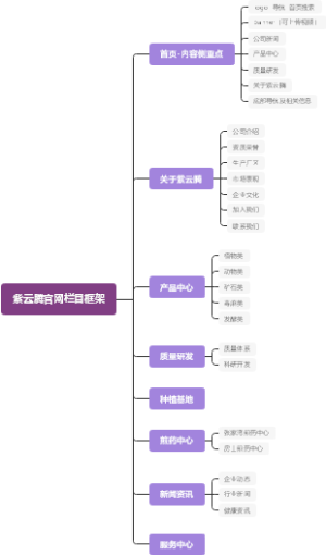 紫云腾官网栏目框架