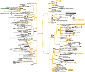 血液循环思维导图