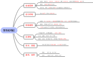 生物的特征