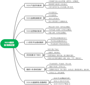 9030商学院视频运营