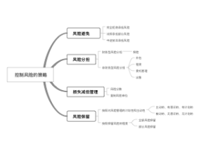 《管理学原理》控制风险的策略