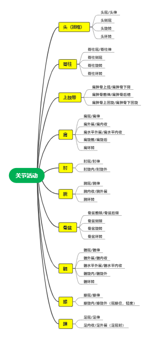 关节活动