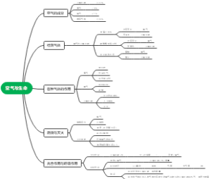 六下科学-空气与生命