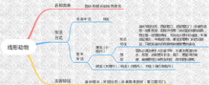 线形动物