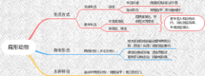 扁形动物