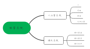 脉管系统﻿