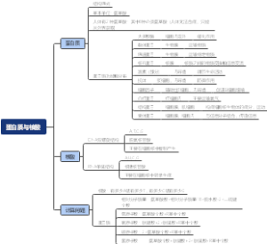 蛋白质与核酸