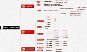 互联网营销师-P2 个人品牌打造