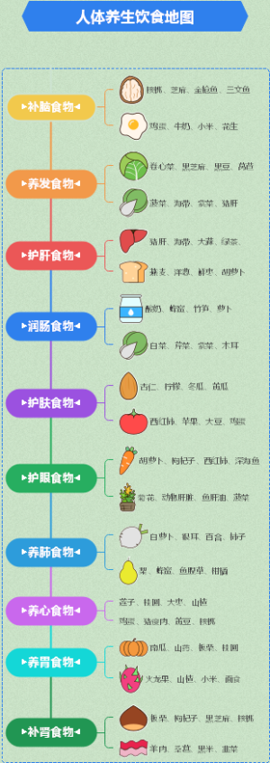 人体养生饮食地图