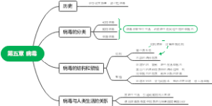 生物八年级上册第五章 病毒