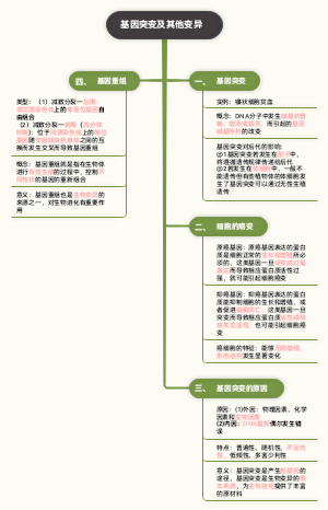 生物思维导图