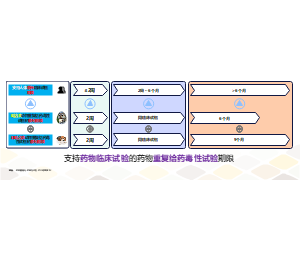 支持药物临床试验的药物重复给药毒性试验期限