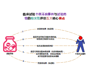 临床试验个例不良事件与试验药物的相关性评价五大核心要点