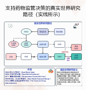 支持药物监管决策的真实世界研究路径（实线所示）