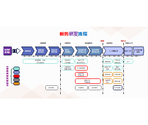药物研发流程